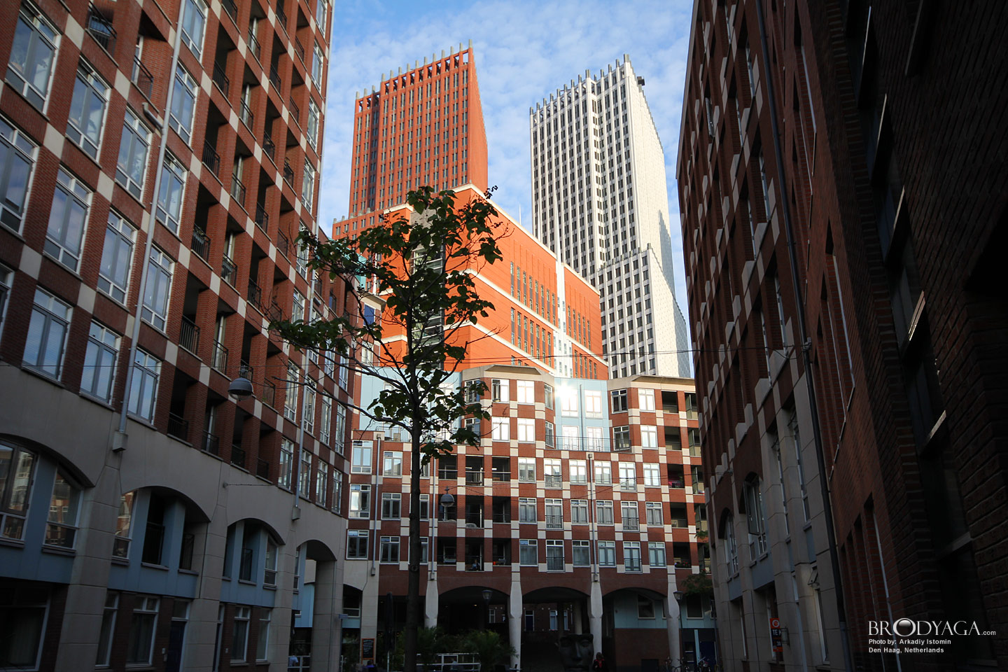 Den Haag